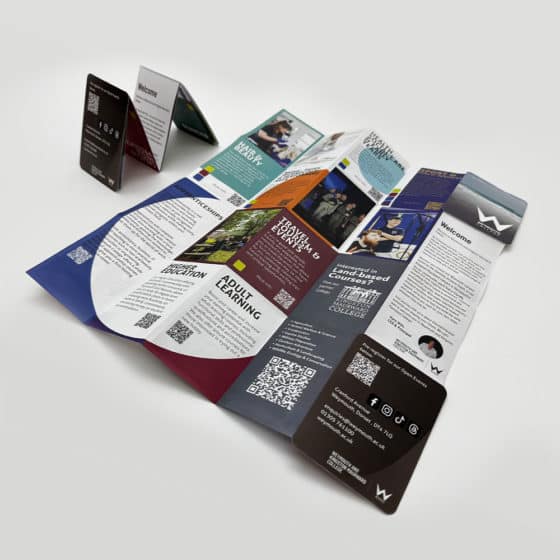 4-Fold-Leaflets